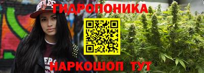 дмт Новокубанск