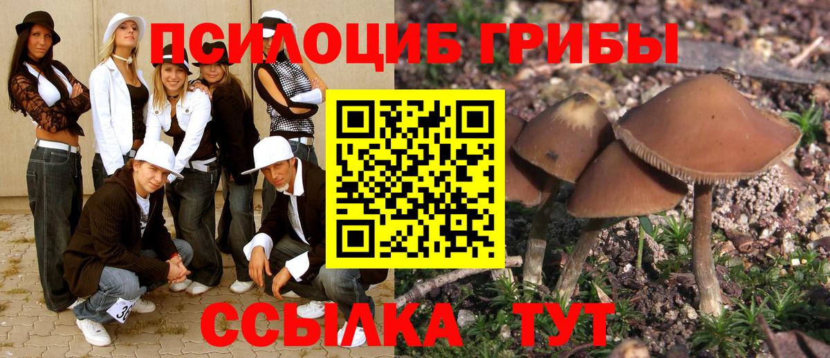 Тара  Галлюциногенные грибы мицелий  Вход с VPN  Псилоцибиновые грибы Magic Shrooms 