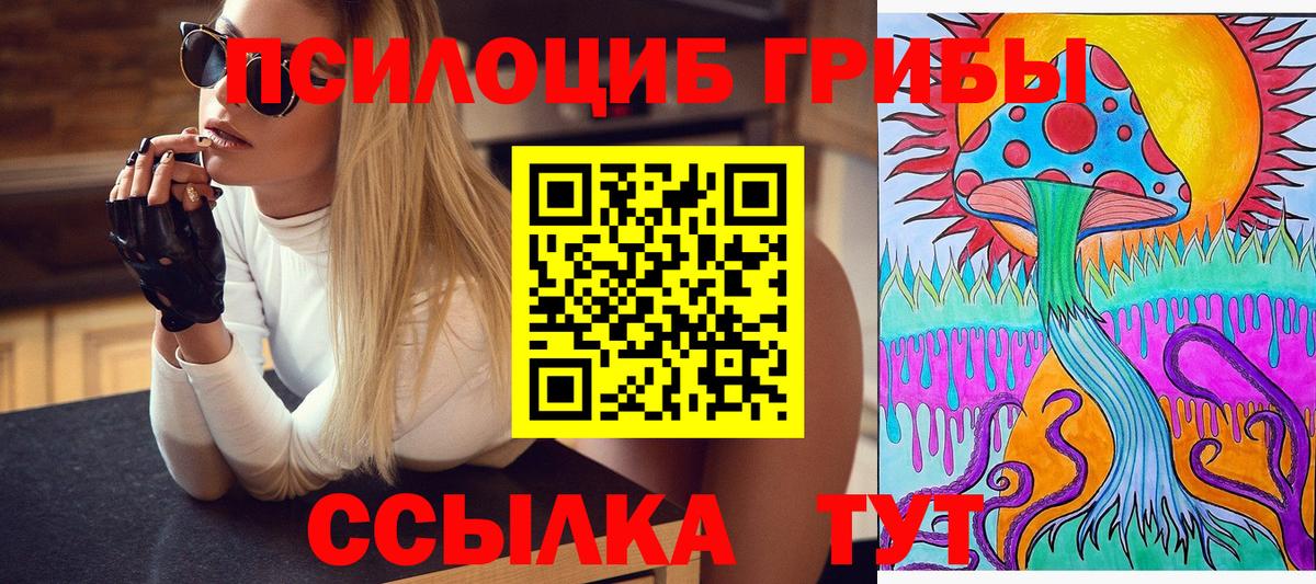 Псилоцибиновые грибы Psilocybe Тара